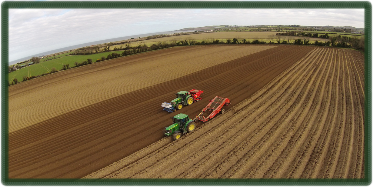 Durnin's Fruit and Veg