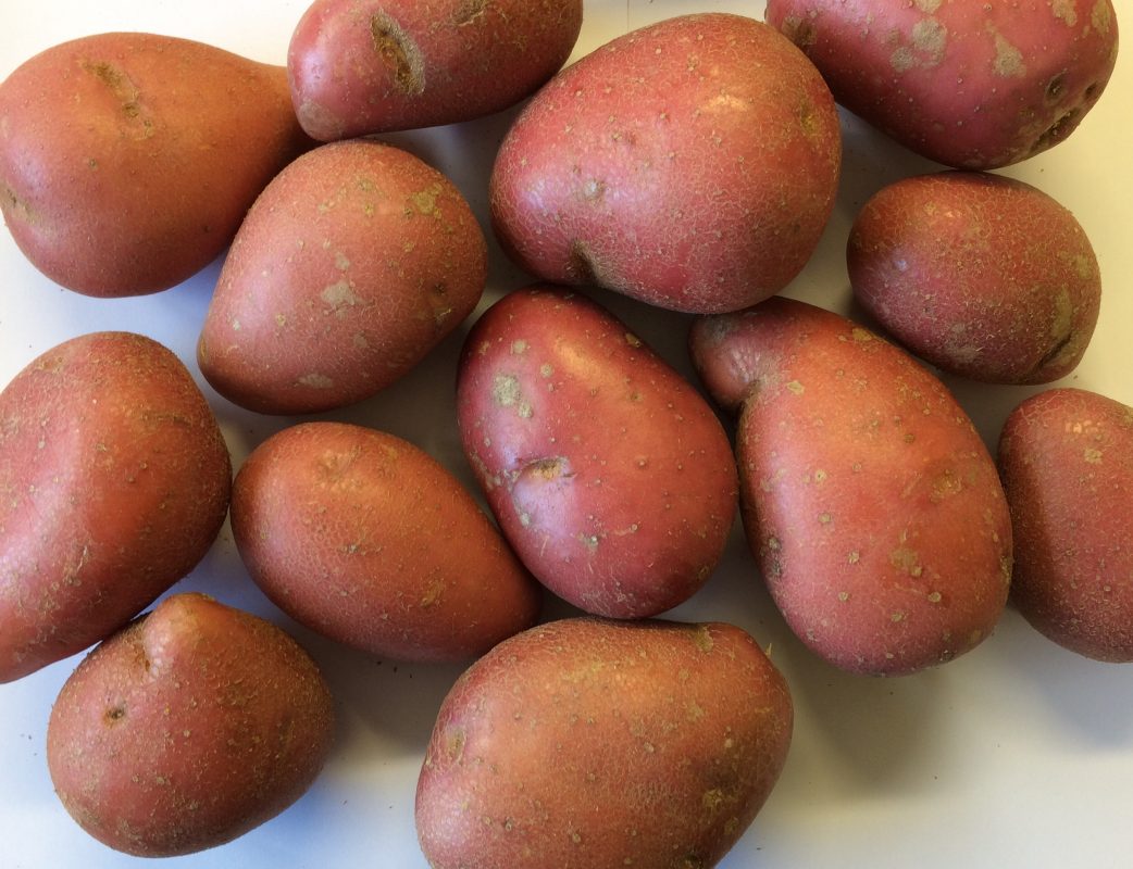Durnin fruit veg image of potatoes