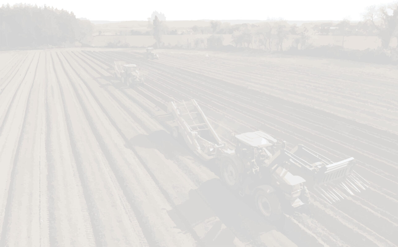 Durnin's Fruit and Veg