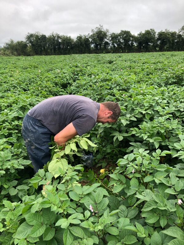 Durnin's Fruit and Veg